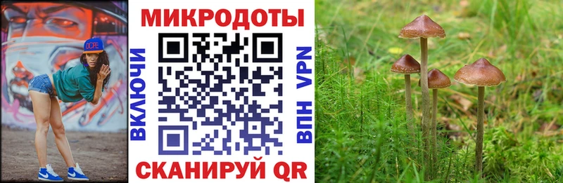 Галлюциногенные грибы Psilocybine cubensis  где можно купить наркотик  Белоозёрский 